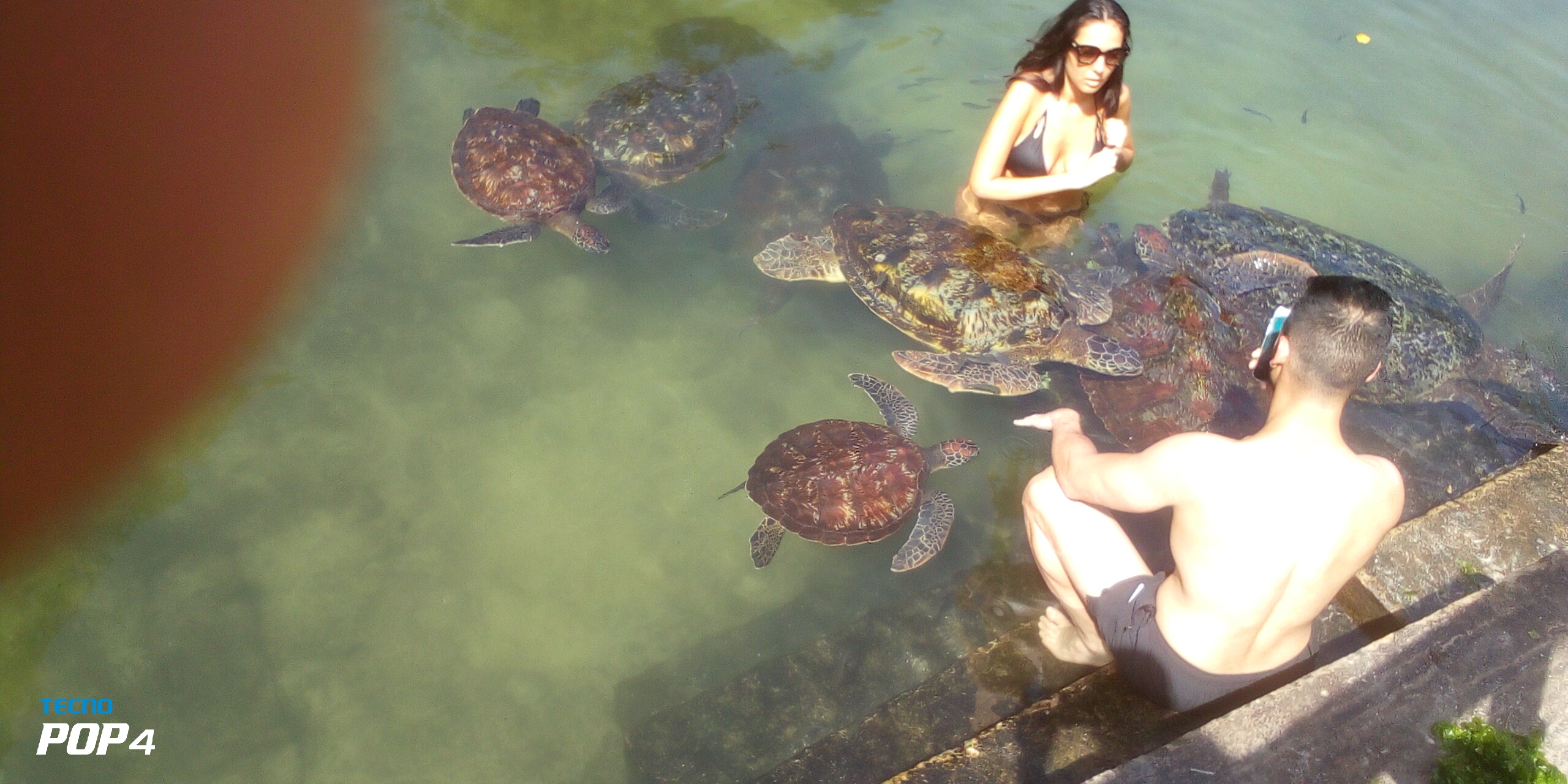 Aquarium Photo 2