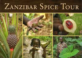 Spice Tour 4
